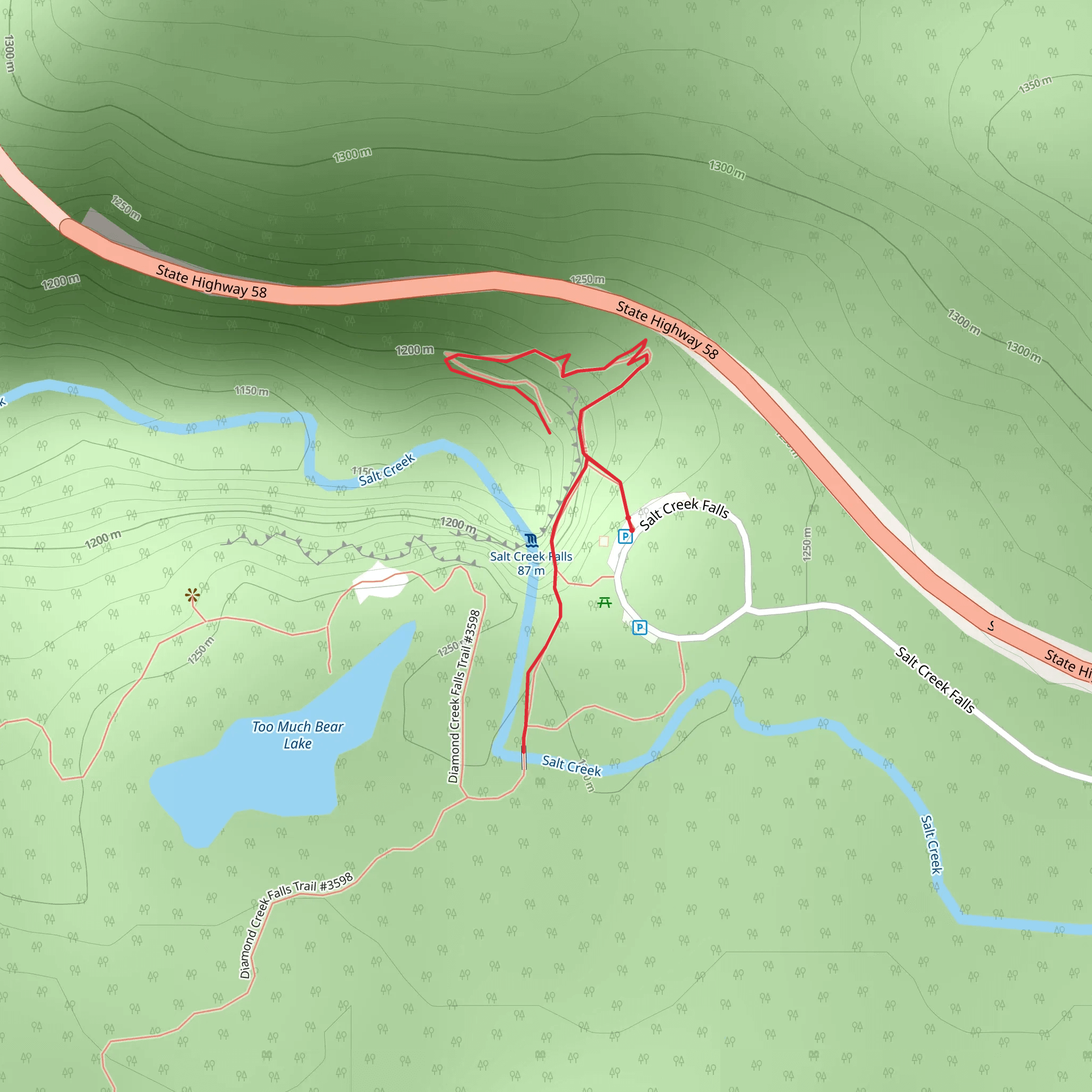 Salt Creek Falls Trail mobile static map