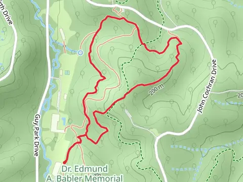 Dogwood Trail from Guy Park Drive