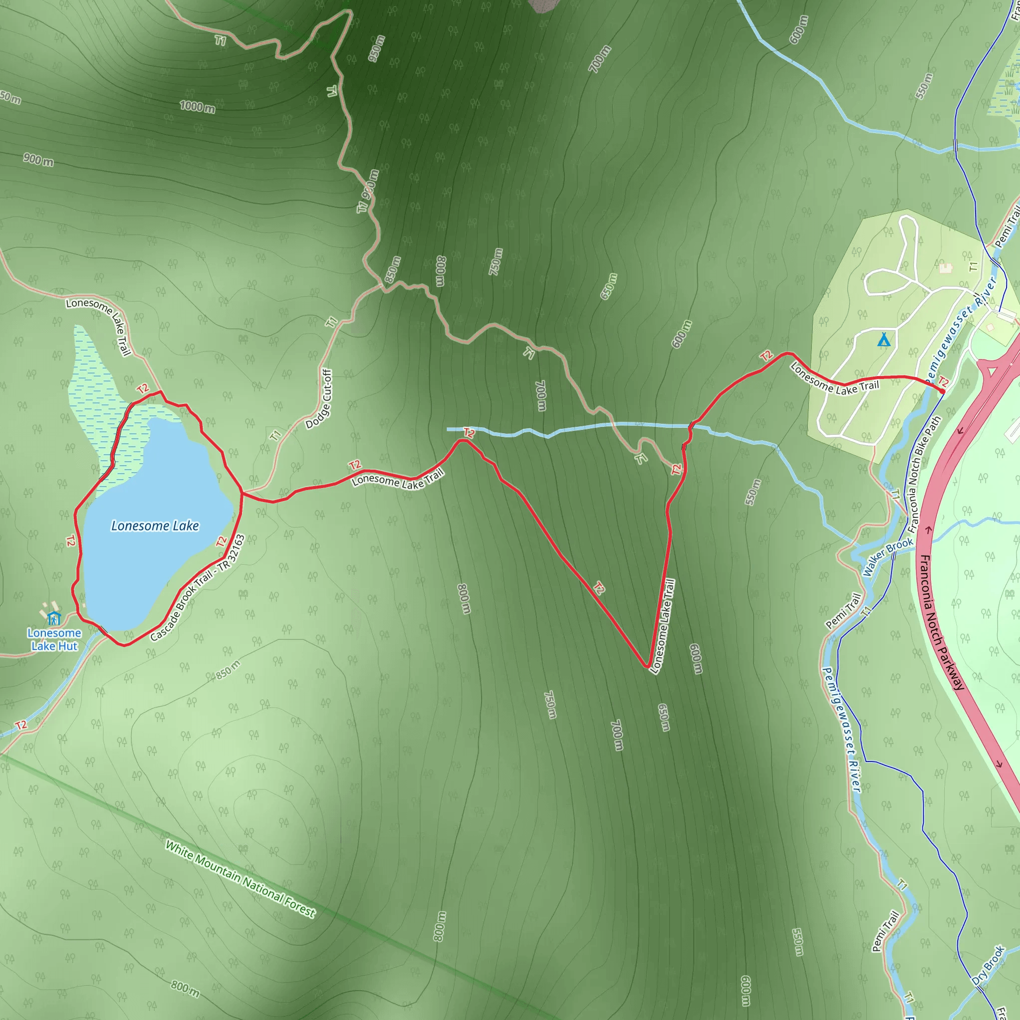 Lonesome Lake Loop Trail mobile static map