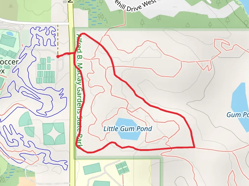 Little Gum Pond - Ravine Loop Trail