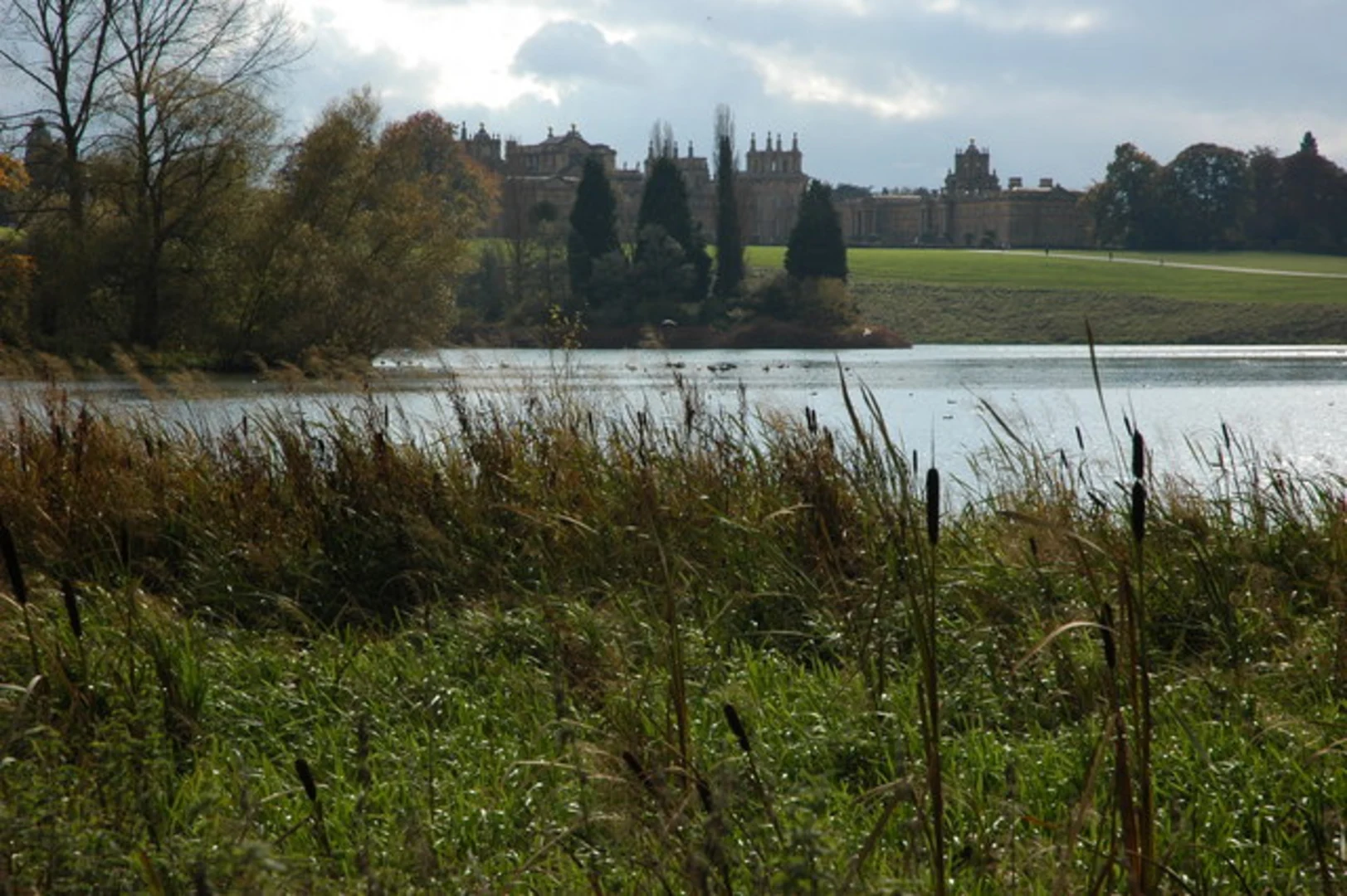 An image depicting the trail Woodstock Town Watermeadows Loop and its surrounding area.
