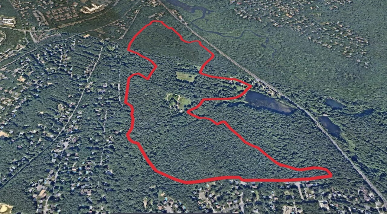 Long Island Greenbelt Short Trail from Loop Willow Pond