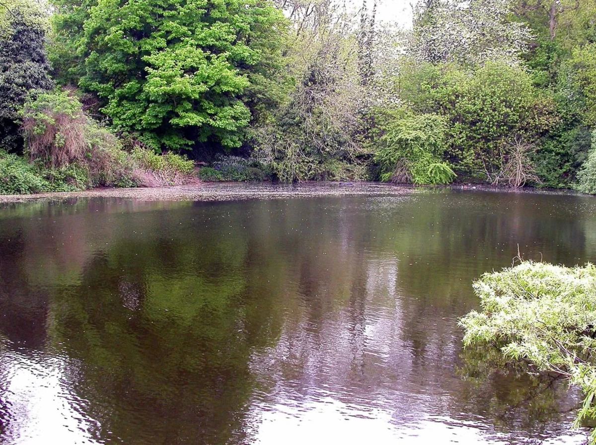 Old Roar Gill, Buckshole Reservoir, Shornden Reservoir and Alexandra Park Loop