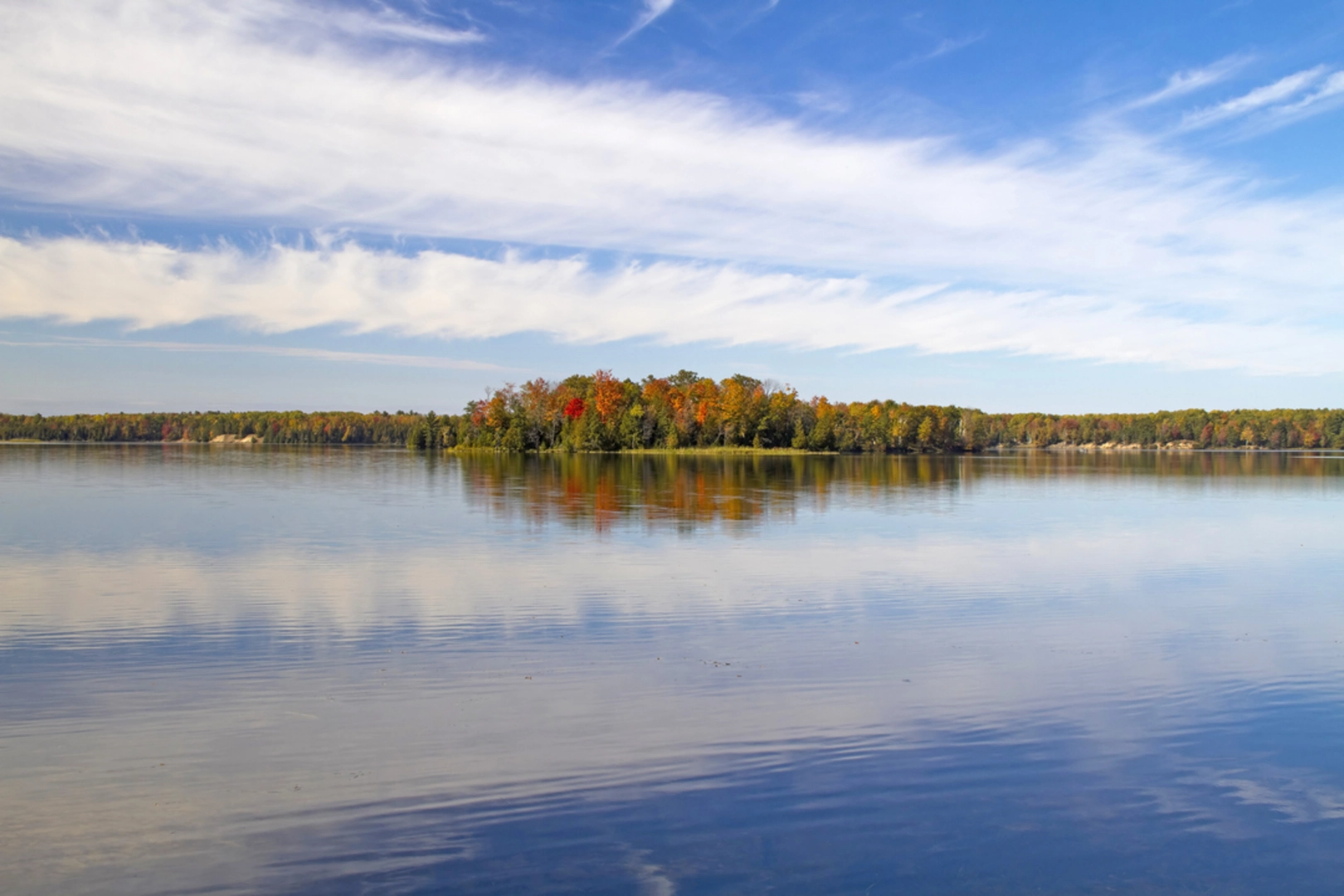 An image depicting the trail Lmvic - Forest Discovery Trail and its surrounding area.