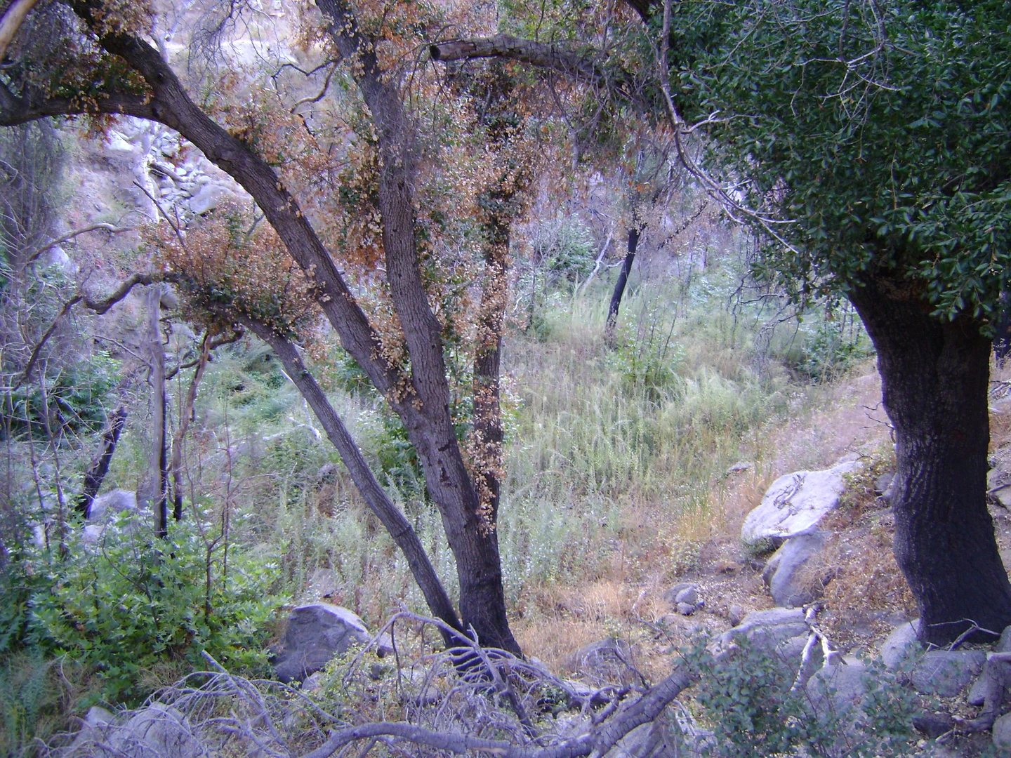 An image depicting the trail Canyon View Trail via Hell Creek Trail and its surrounding area.
