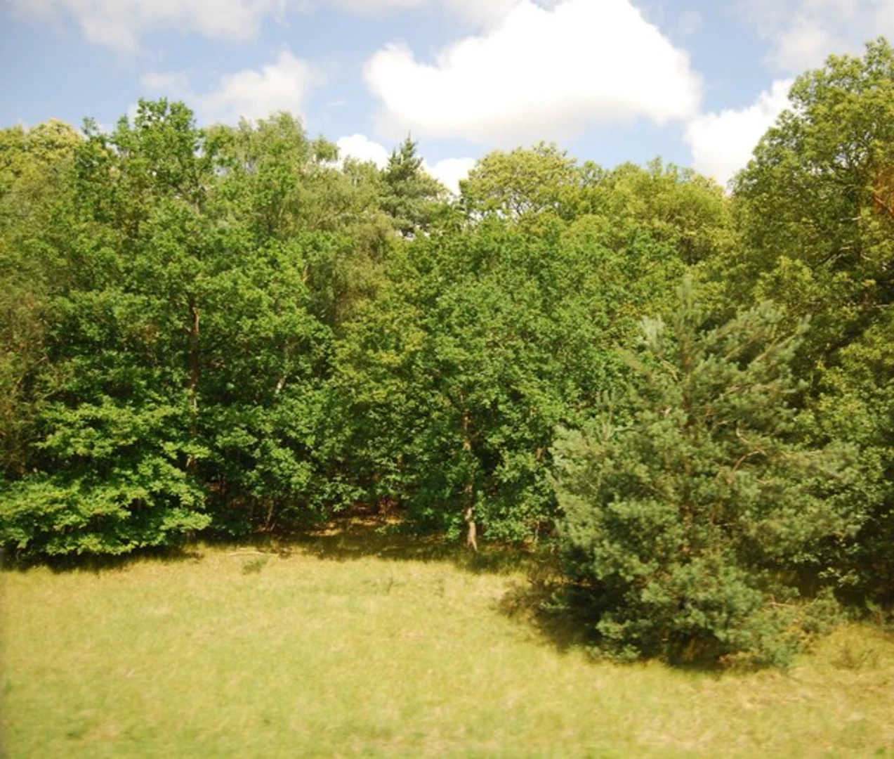 An image depicting the trail Warren's Lodge Loop via The Warrener's World Trail and its surrounding area.