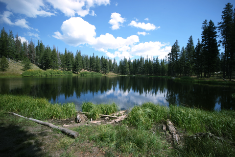 An image depicting the trail Little Mount Hoffman Trail and its surrounding area.