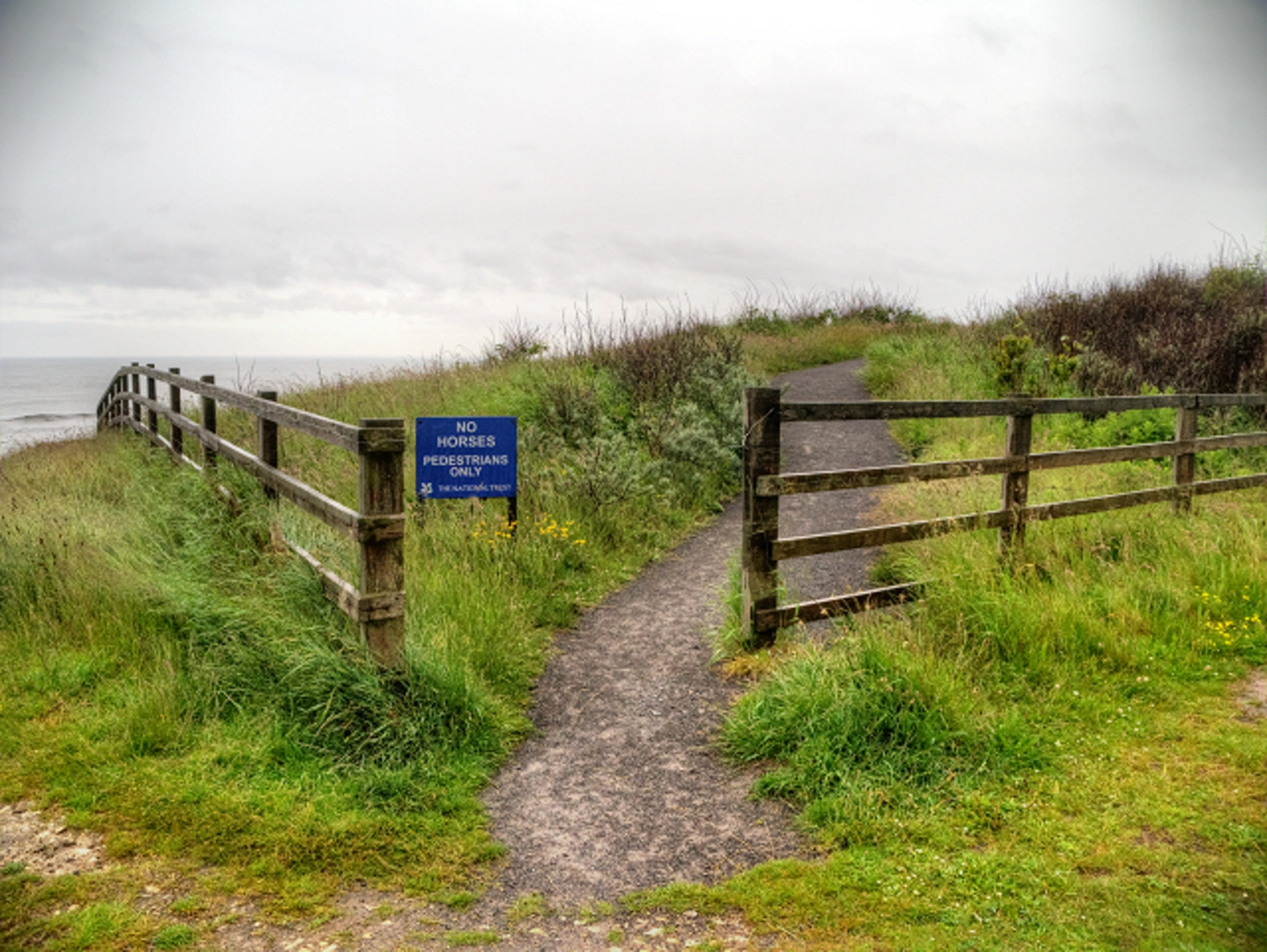 An image depicting the trail Souter Lighthouse and Whitburn Coastal Park Loop and its surrounding area.
