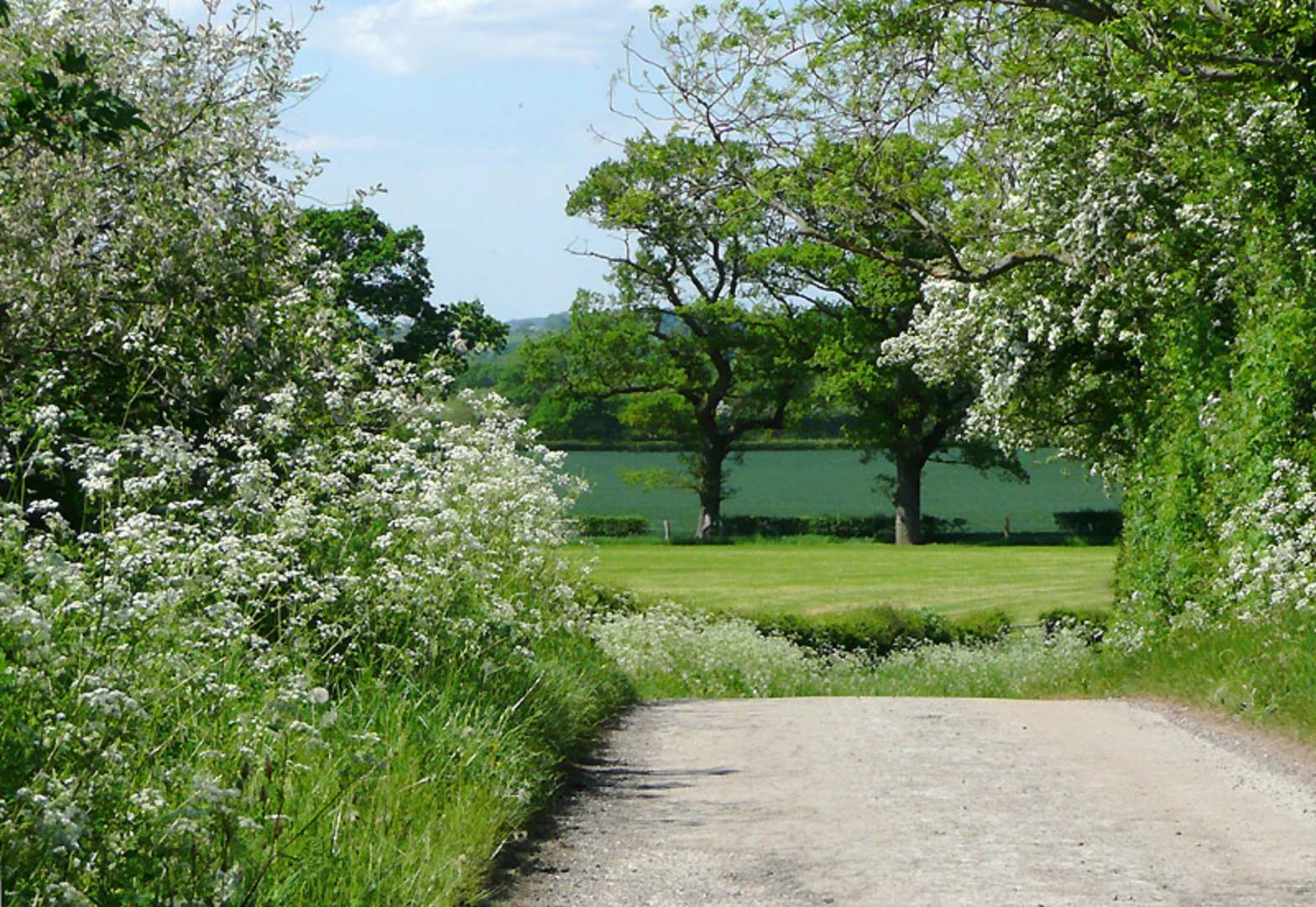 An image depicting the trail The way of Millenium from Gnosall Heath and its surrounding area.