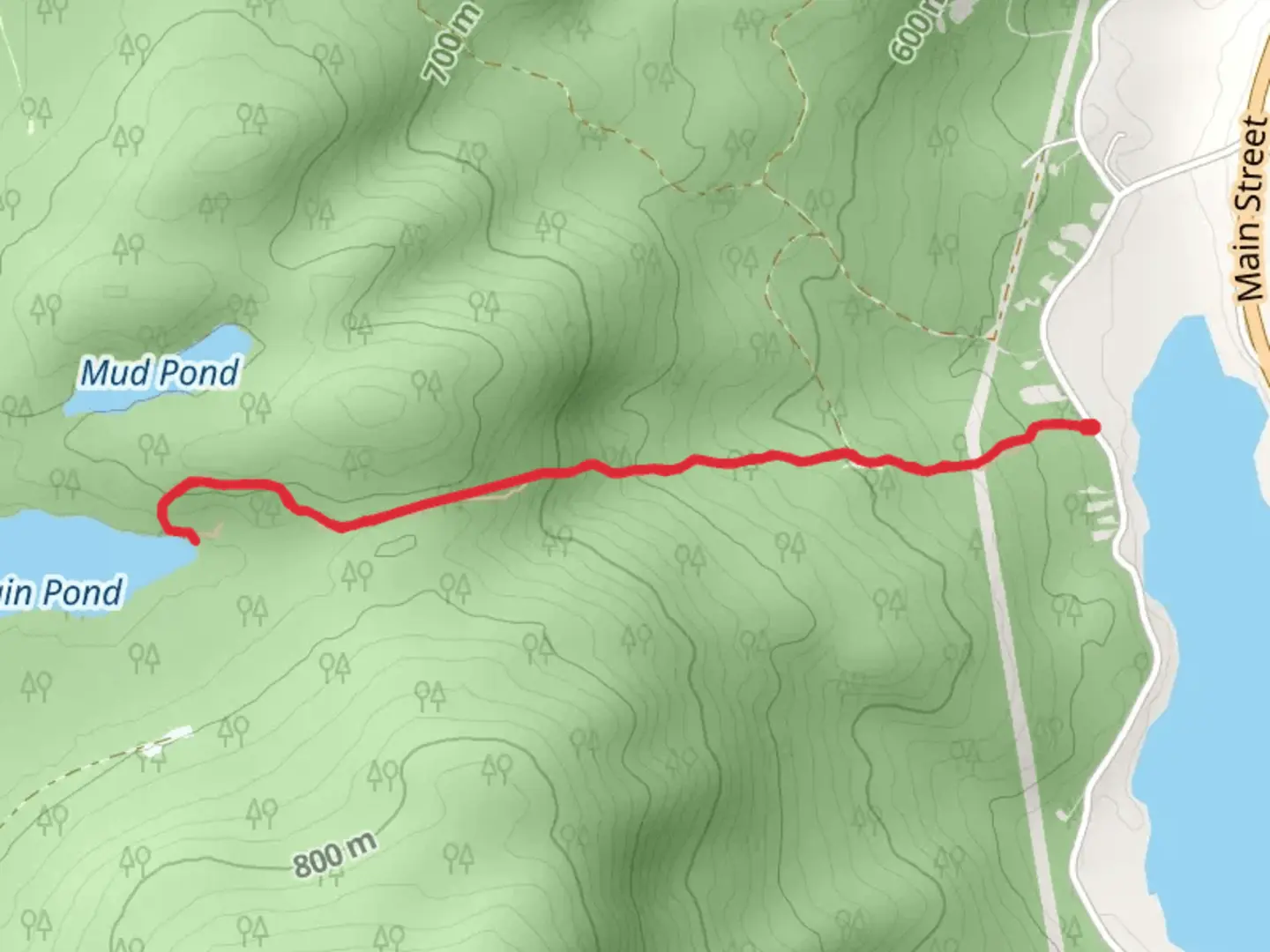 An image depicting the trail Mountain Pond Trail and its surrounding area.