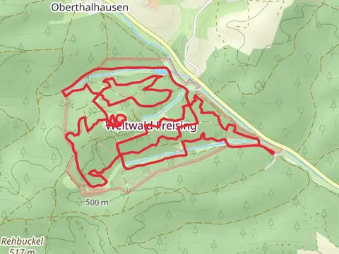 Eisweiher and Botanikum via Themenpfad