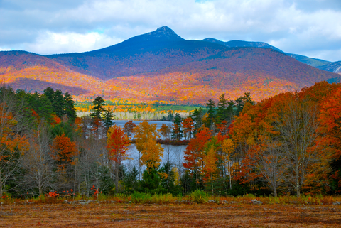 An image depicting the trail Piper Trail to Mount Chocorua Trail and its surrounding area.