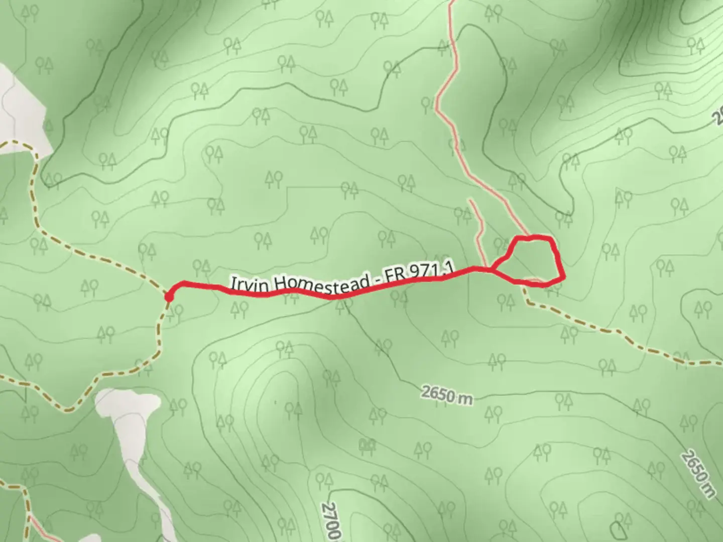 An image depicting the trail Irvin Loop Trail and its surrounding area.