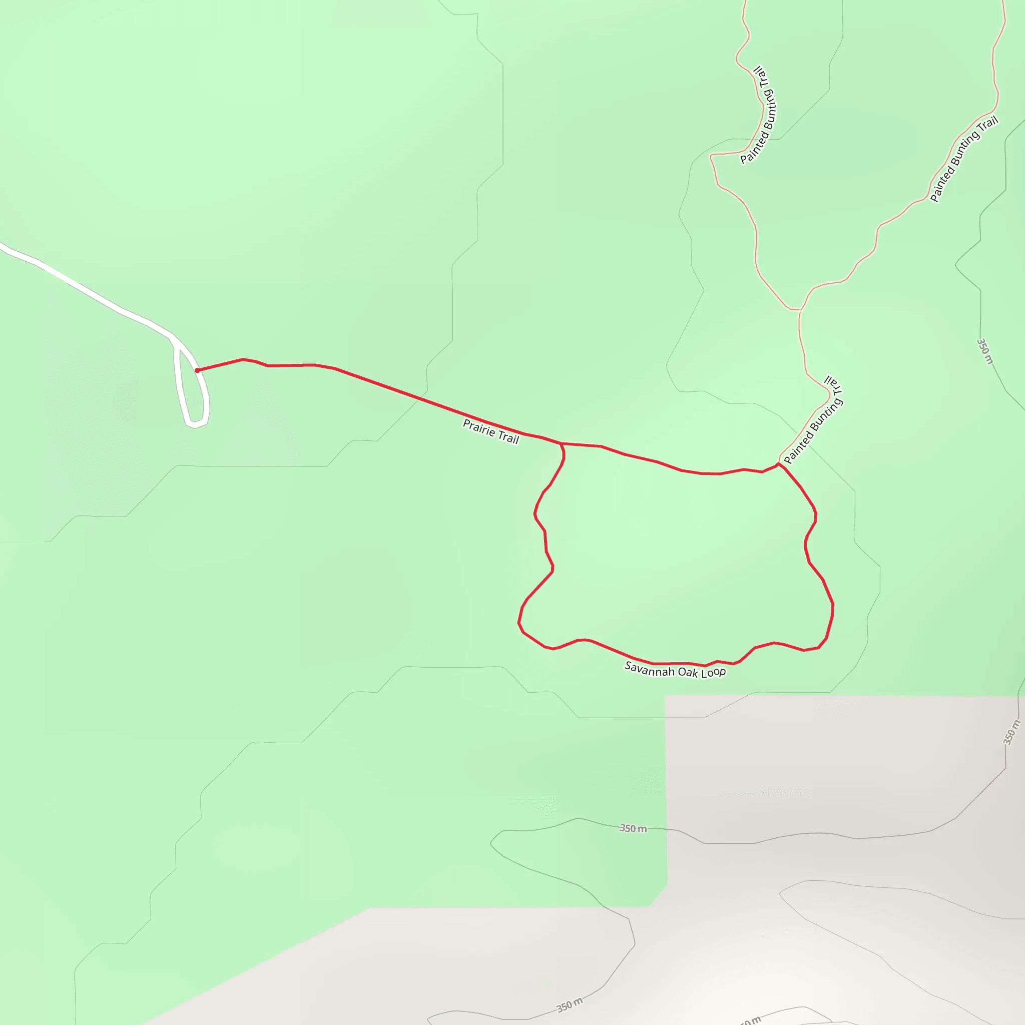 Savannah Oak Loop mobile static map
