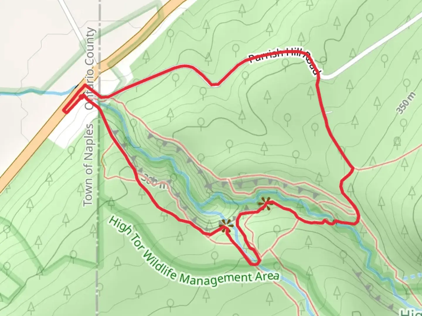 An image depicting the trail Parrish Gully Ridge Loop Trail and its surrounding area.