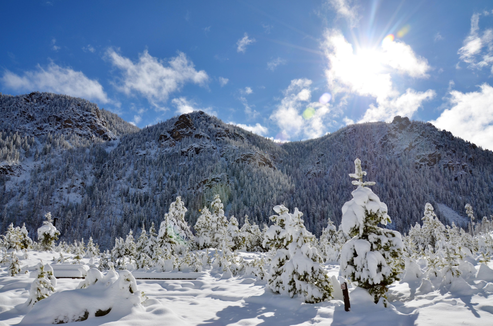 An image depicting the trail Roaring Fork Trail and its surrounding area.