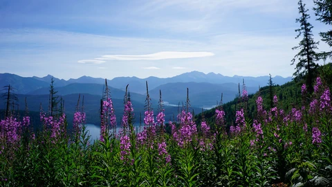 An image depicting the trail Pioneer Ridge Trail and its surrounding area.