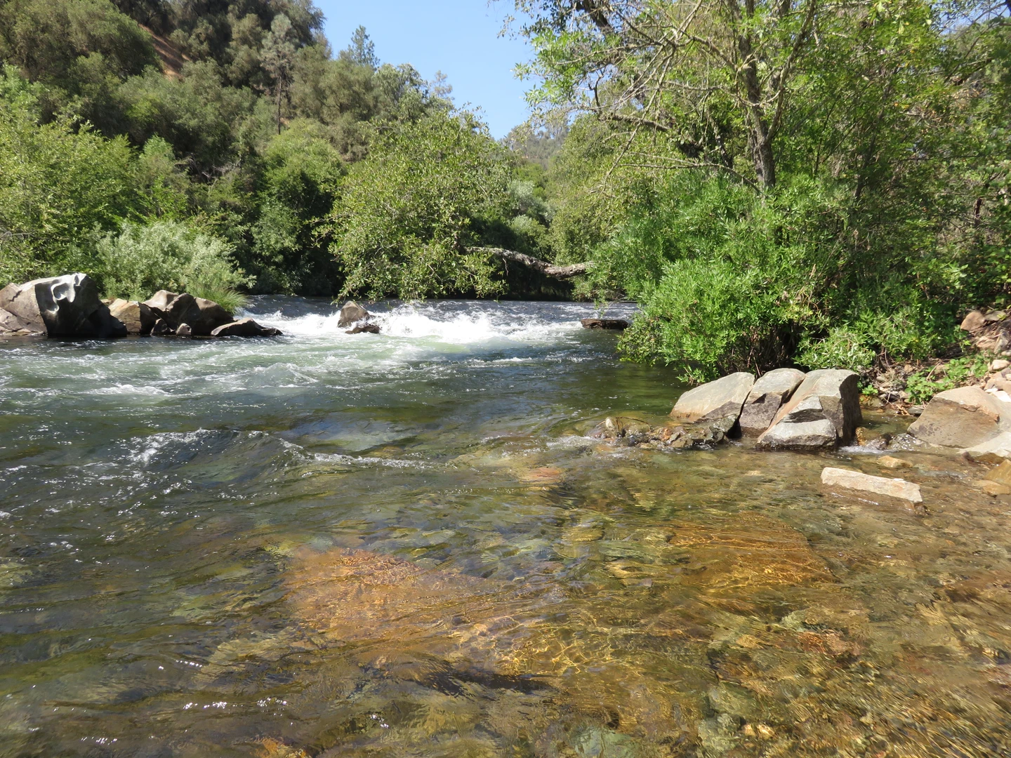 An image depicting the trail Mokelumne Coast to Crest Loop Trail and its surrounding area.