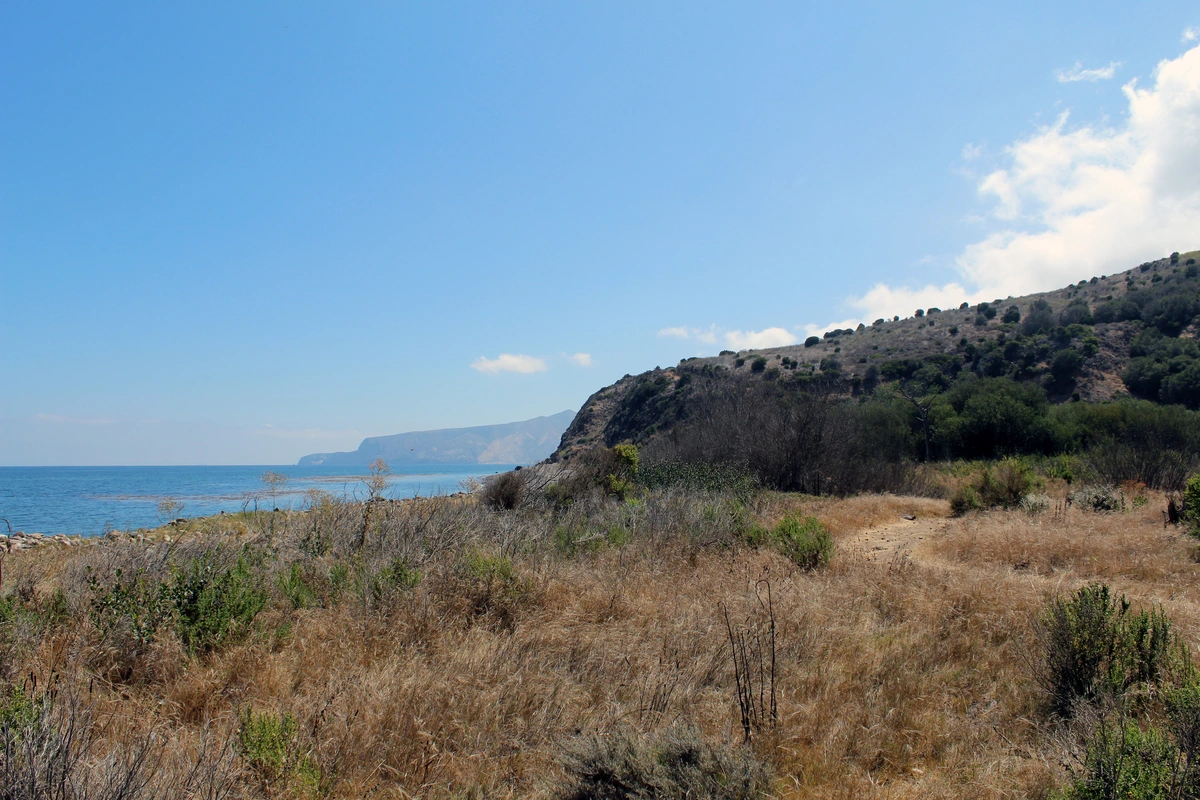 Chinquapin, Eucalyptus Loop and Old Cove Landing Trail
