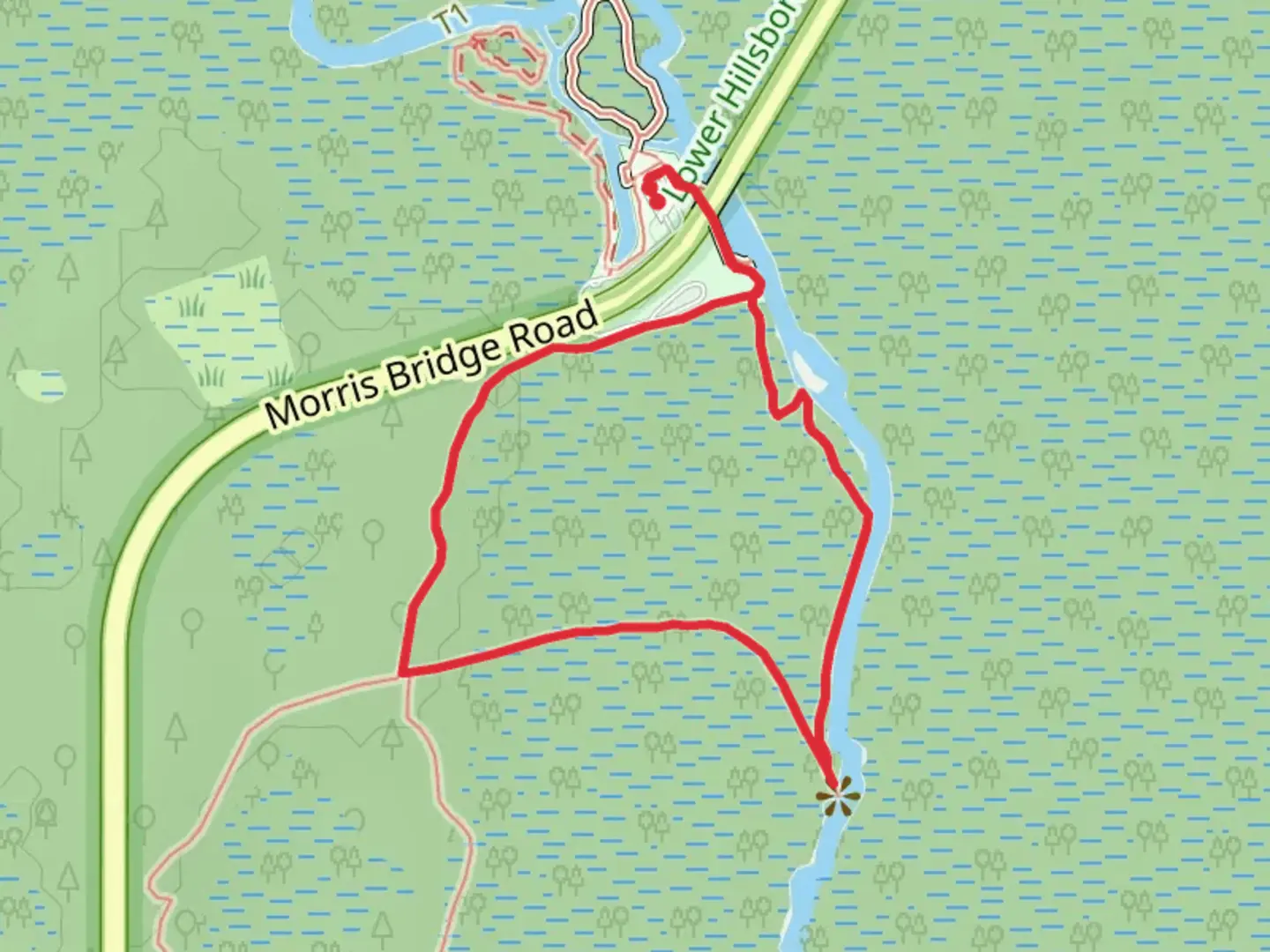 An image depicting the trail Wilderness Park Main and Bald Cypress Loop Trail and its surrounding area.