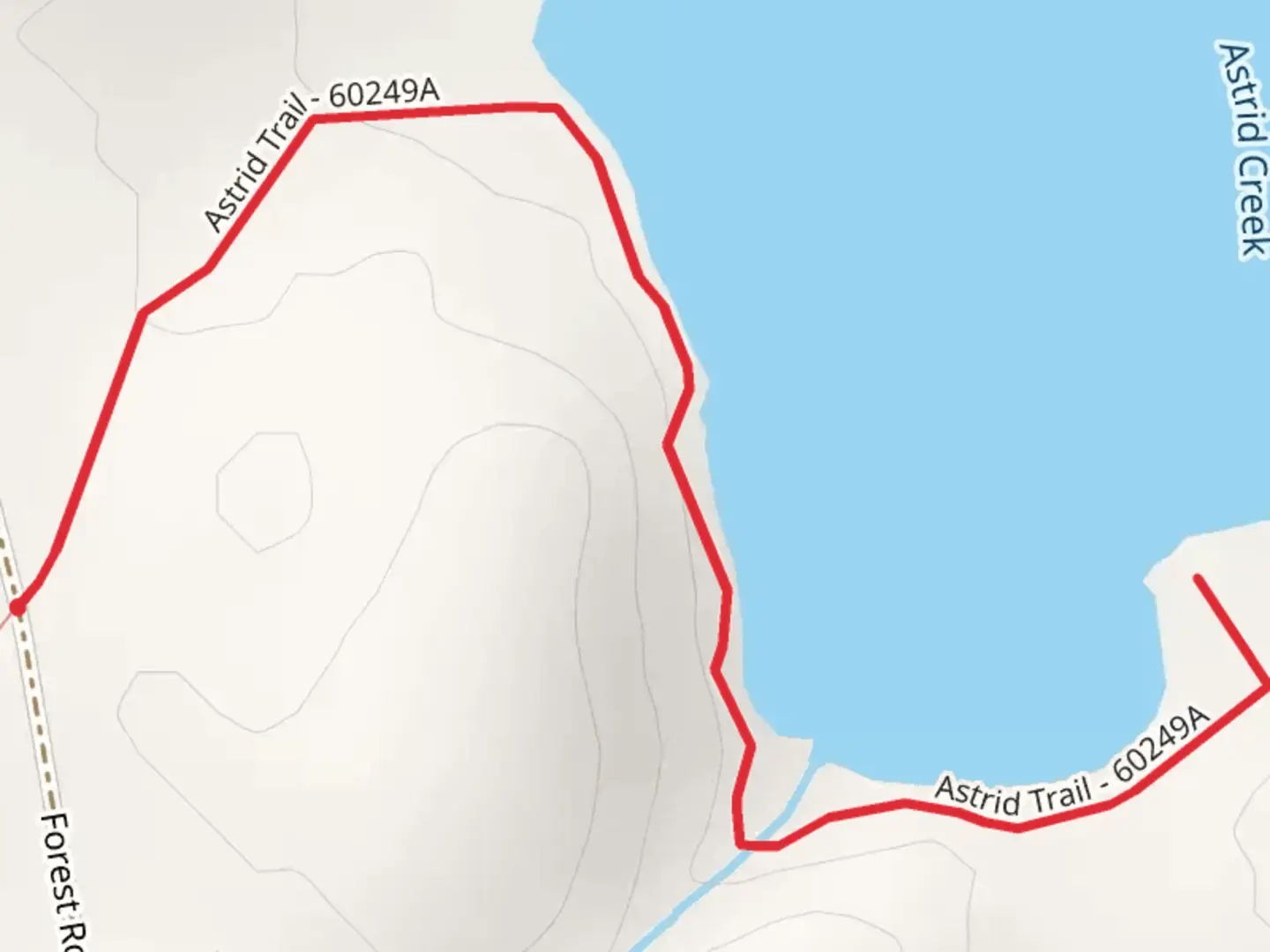 An image depicting the trail Astrid Lake South Shore Walk and its surrounding area.