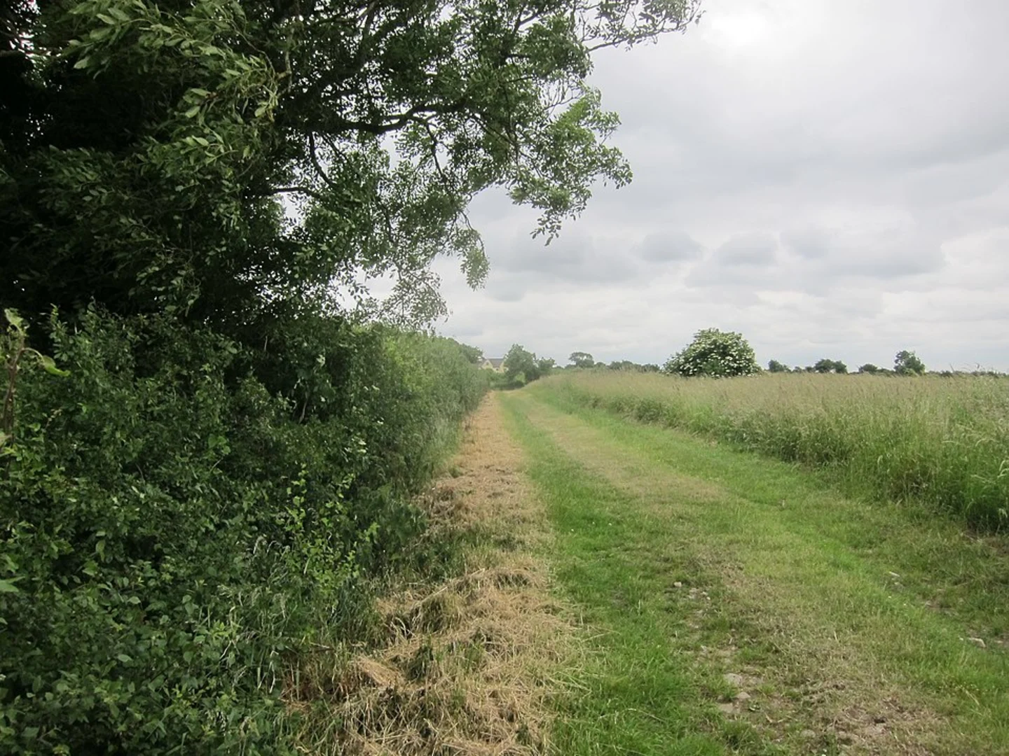 An image depicting the trail Painswick, Paradise and Bulls Cross Loop Walk and its surrounding area.