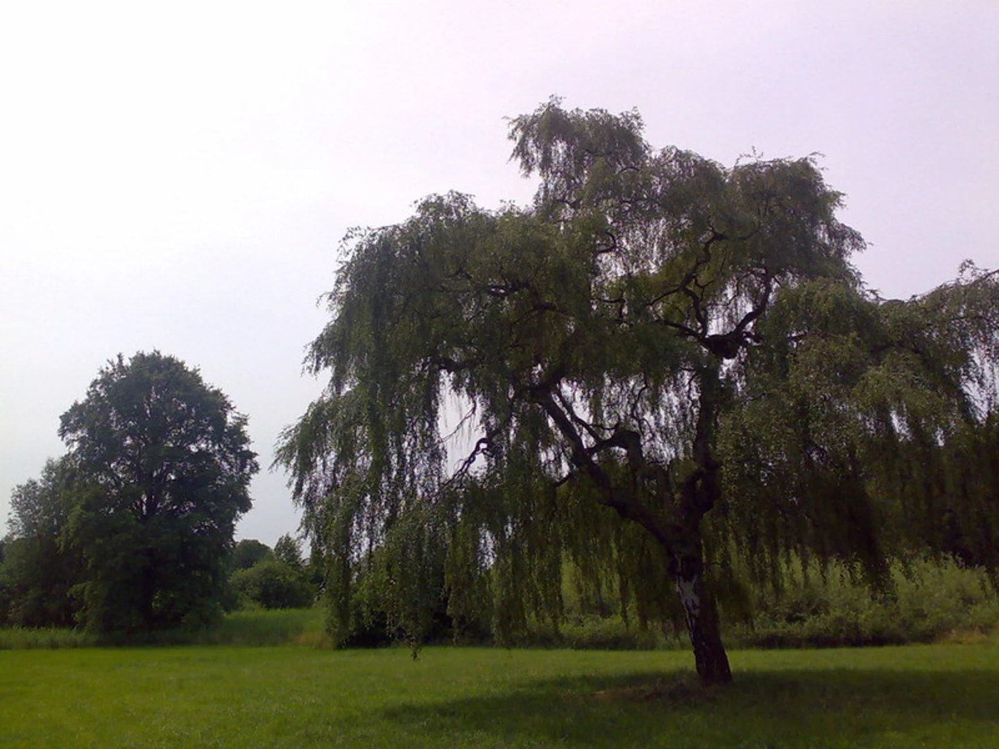 An image depicting the trail Lanke to Lobetal Loop via Hellsee and Mechesee and its surrounding area.