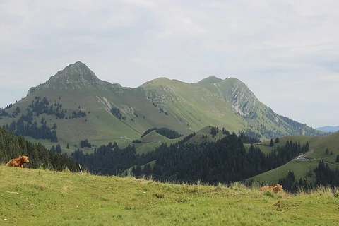 Teysachaux Peak Loop Trail