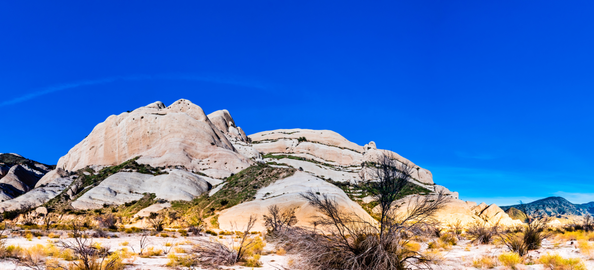 An image depicting the trail Mormon Rocks Interpretive Trail and its surrounding area.