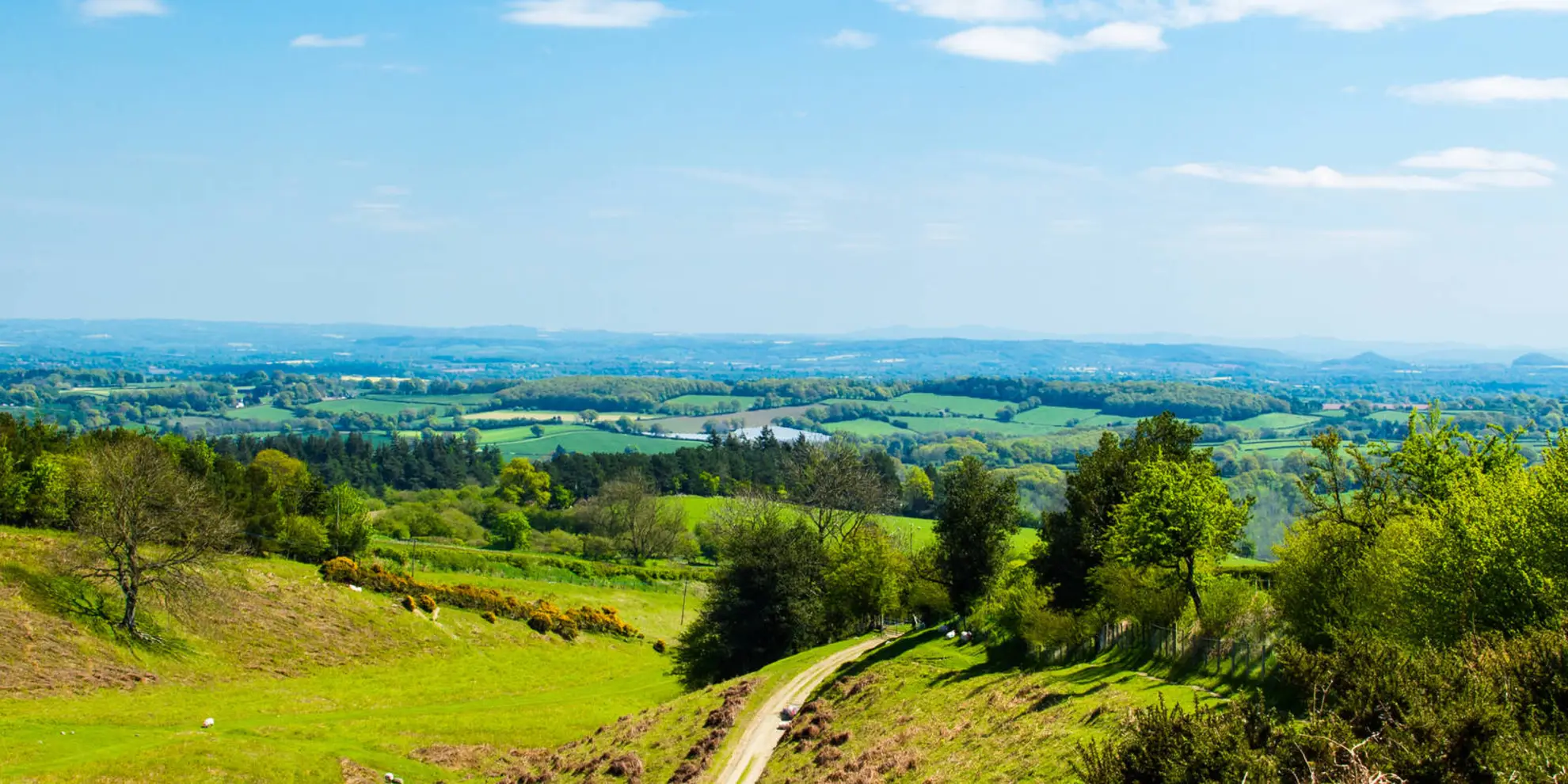 An image depicting the trail Stowe and Offa's Dyke from Kinsley Wood and its surrounding area.