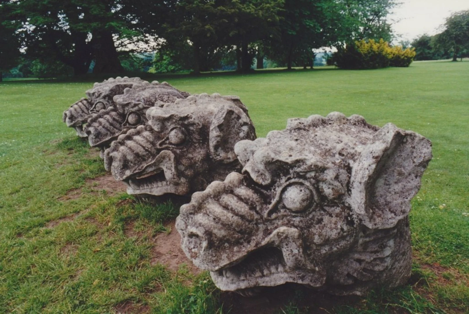 An image depicting the trail Wallington Hall Loop and its surrounding area.