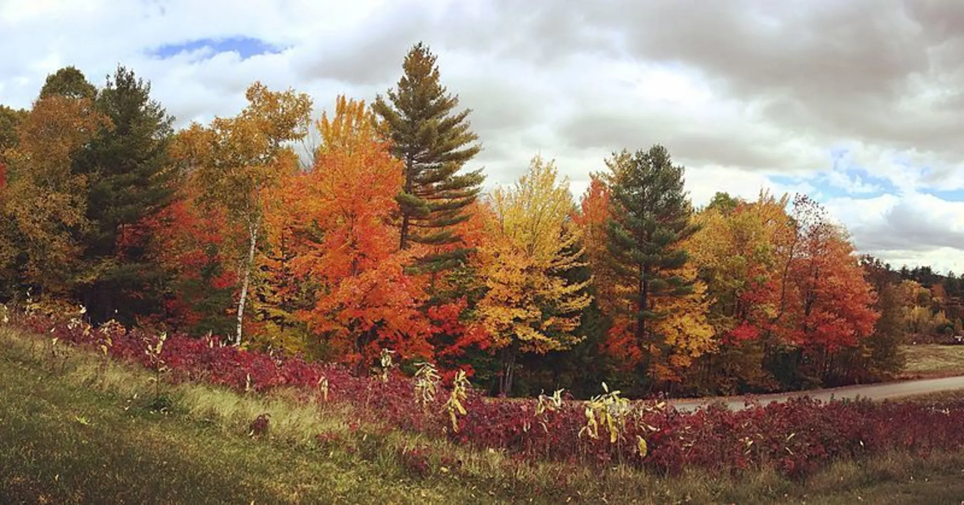 An image depicting the trail Hubbard Brook Trail and its surrounding area.