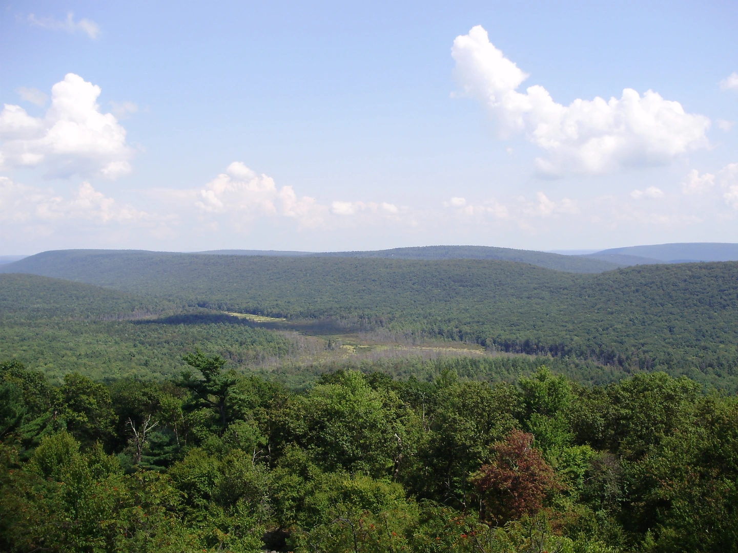 An image depicting the trail Musser Run via Ruby Ridge Trail and its surrounding area.