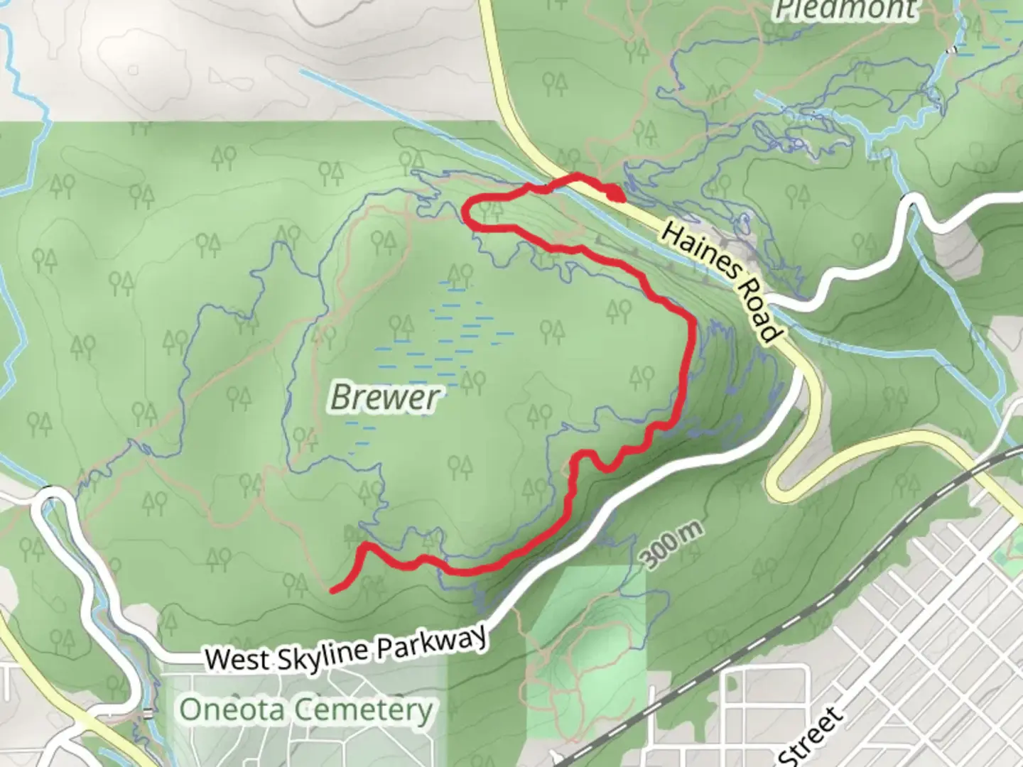 An image depicting the trail Superior Hiking Trail - Haines Road and its surrounding area.