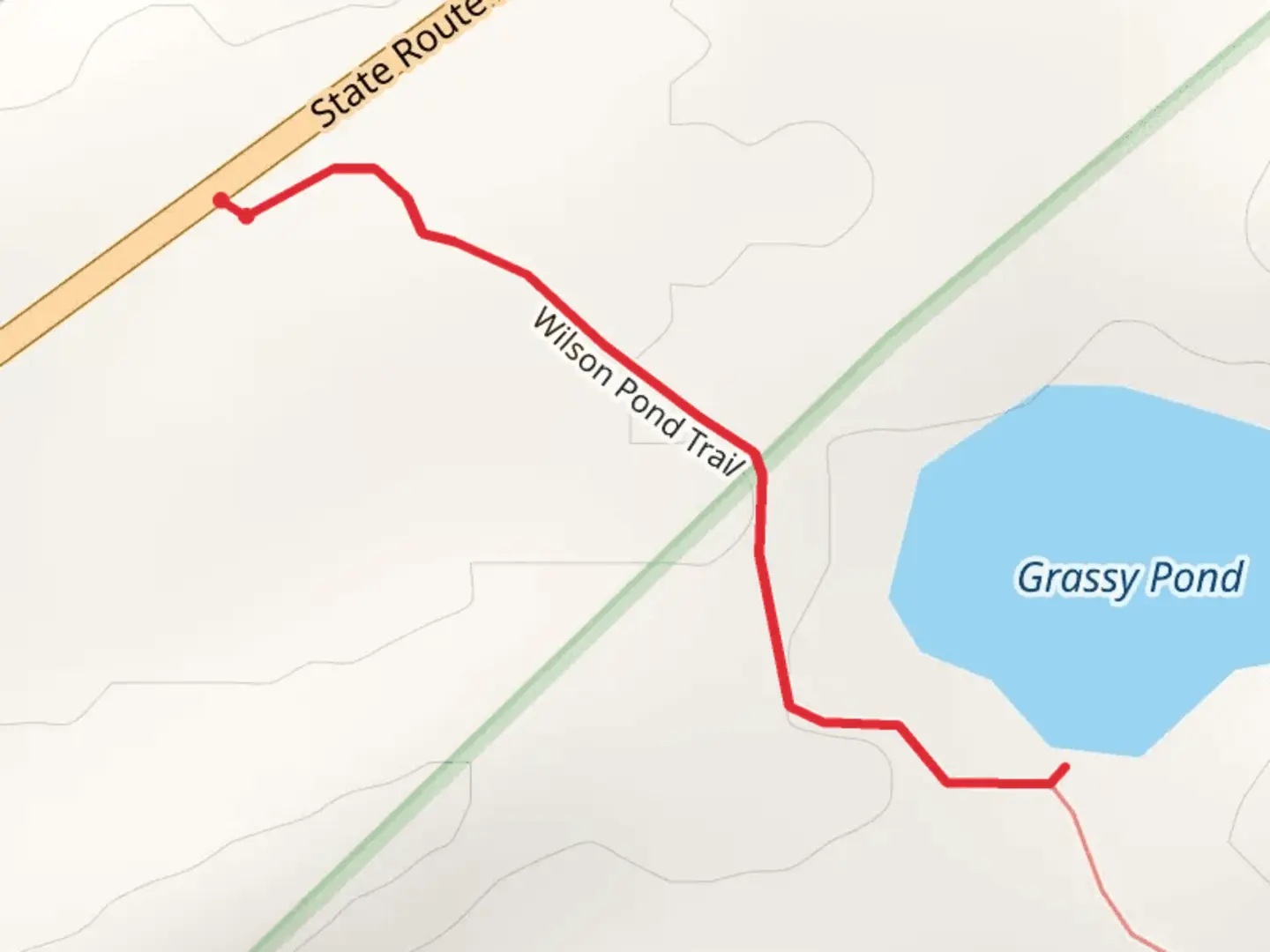 An image depicting the trail Grassy Pond via Wilson Pond Trail and its surrounding area.