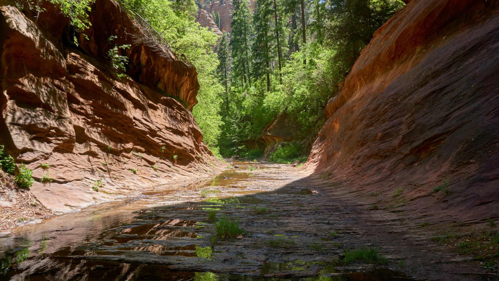 An image depicting the trail West Fork Trail and its surrounding area.