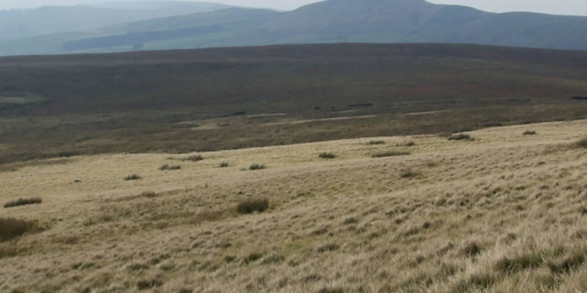 An image depicting the trail Cumberland Brook - Danethorn Hollow and Danebower Hollow and its surrounding area.