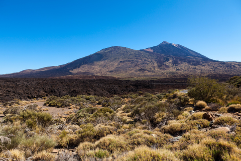 An image depicting the trail El Jaral - Guía de Isora SL TF 206 and its surrounding area.