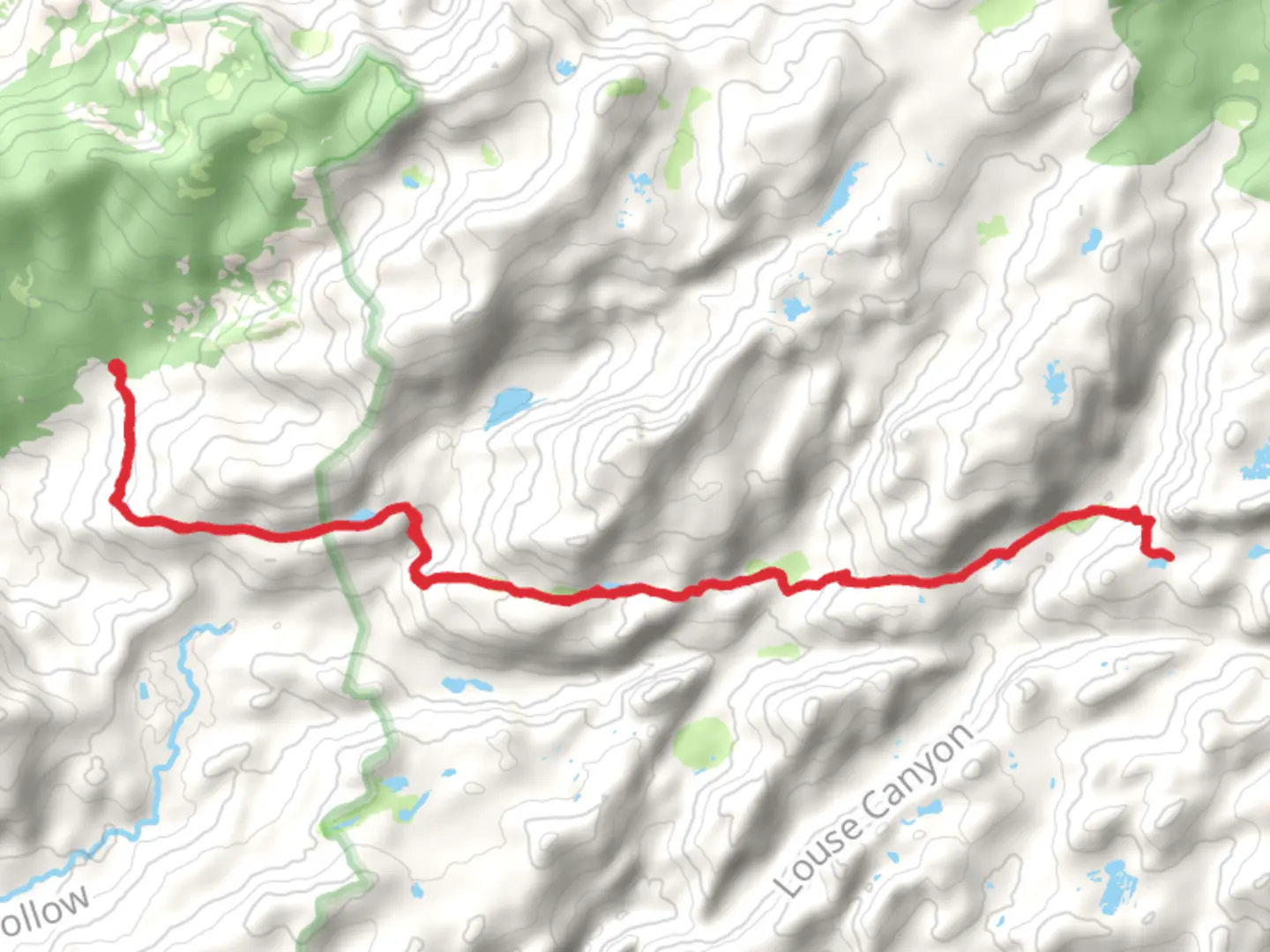 An image depicting the trail Lily Lake via Crabtree Trail and its surrounding area.