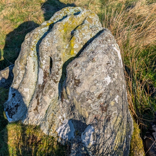 Cotherstone Moor Walk – Butter Stone, Freewill House and The Loups