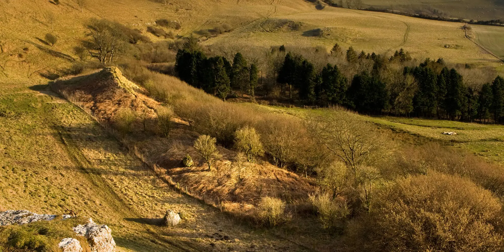 An image depicting the trail Eggardon Hill from Powerstock and its surrounding area.