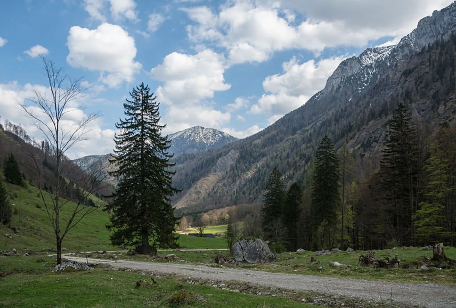 An image depicting the trail Jagahäusl to the Blumaueralm and its surrounding area.