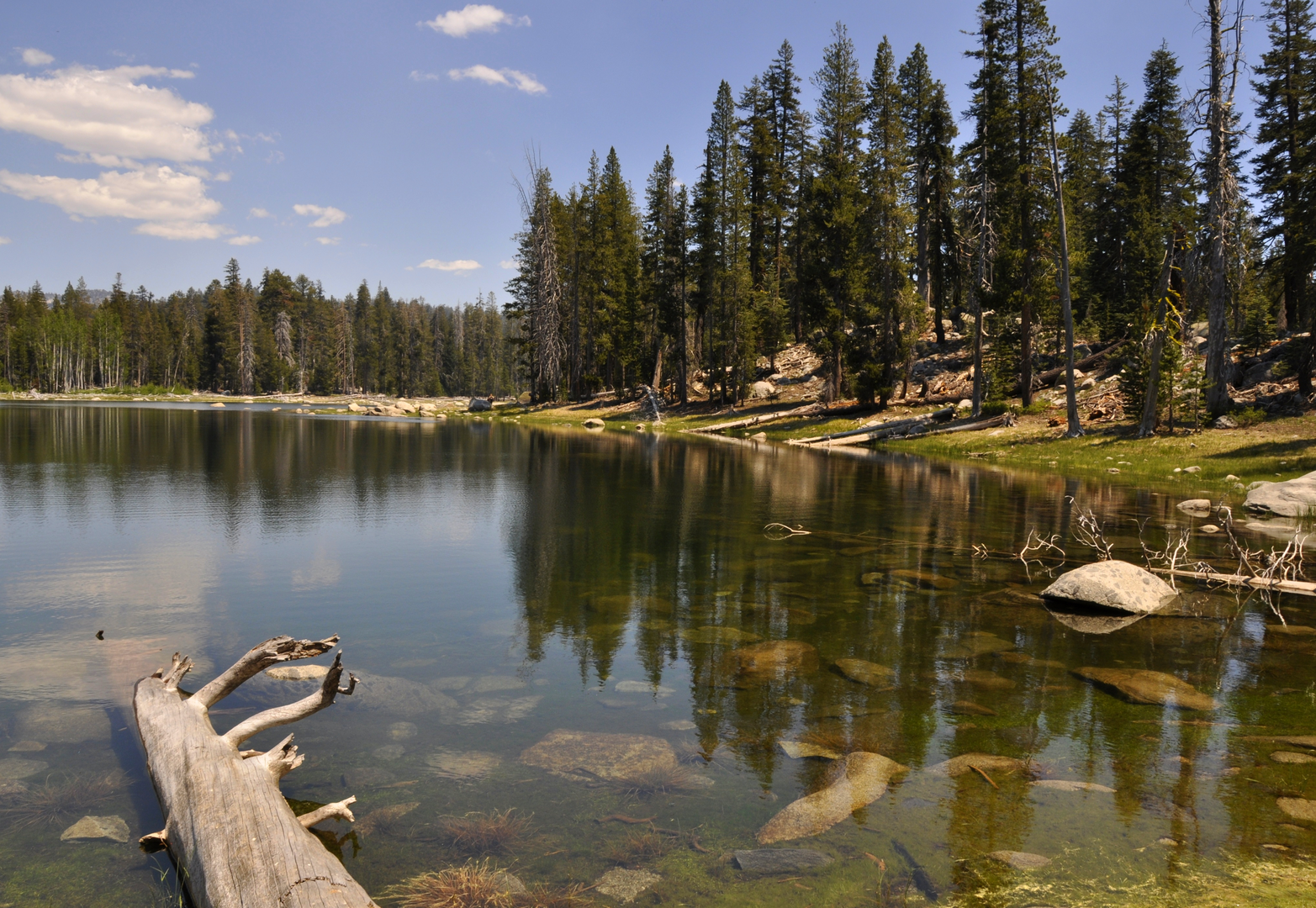An image depicting the trail Harden Lake Trail and its surrounding area.