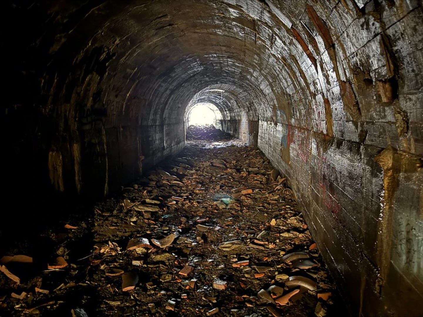 An image depicting the trail Witch Hazel Trail and its surrounding area.