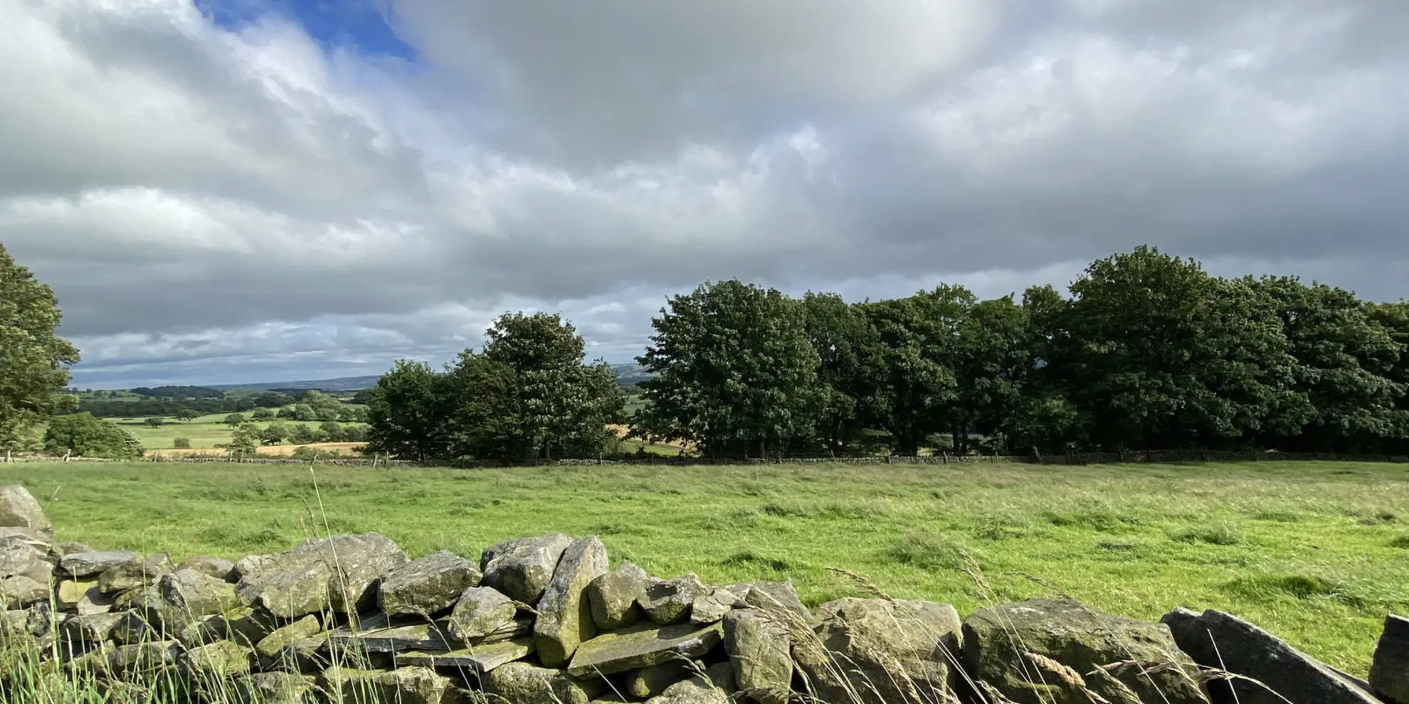 An image depicting the trail Three Moors Walk and its surrounding area.