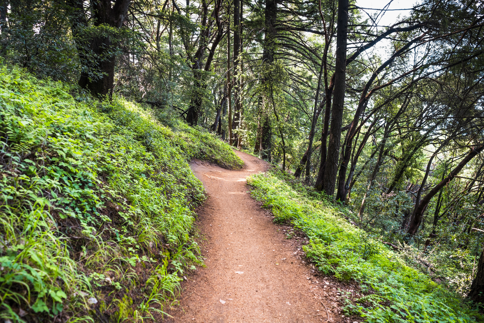 An image depicting the trail Sanborn Narrows Trail and Aubry Creek and its surrounding area.