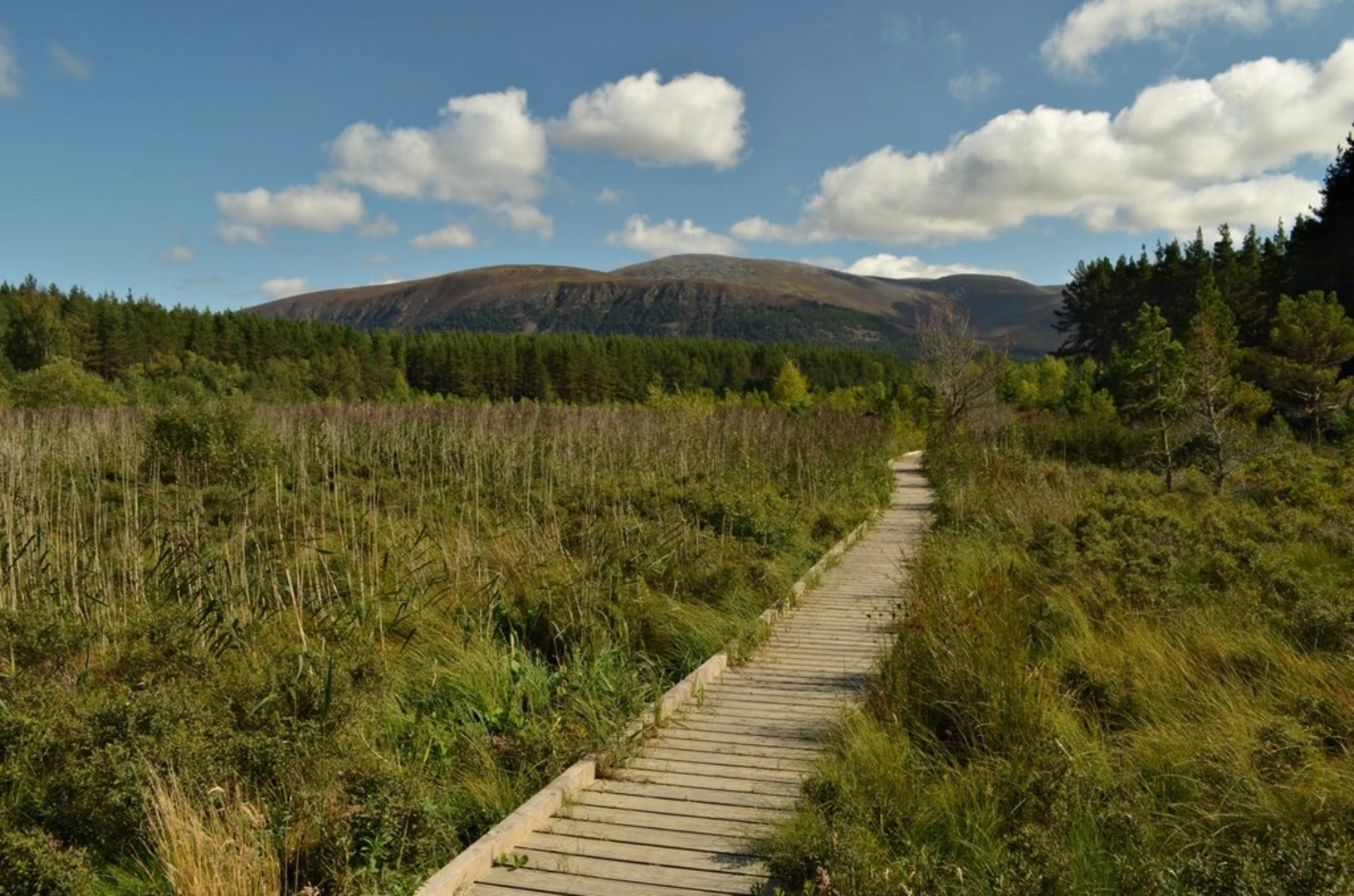 An image depicting the trail Farleitter Crag Loop Trail and its surrounding area.