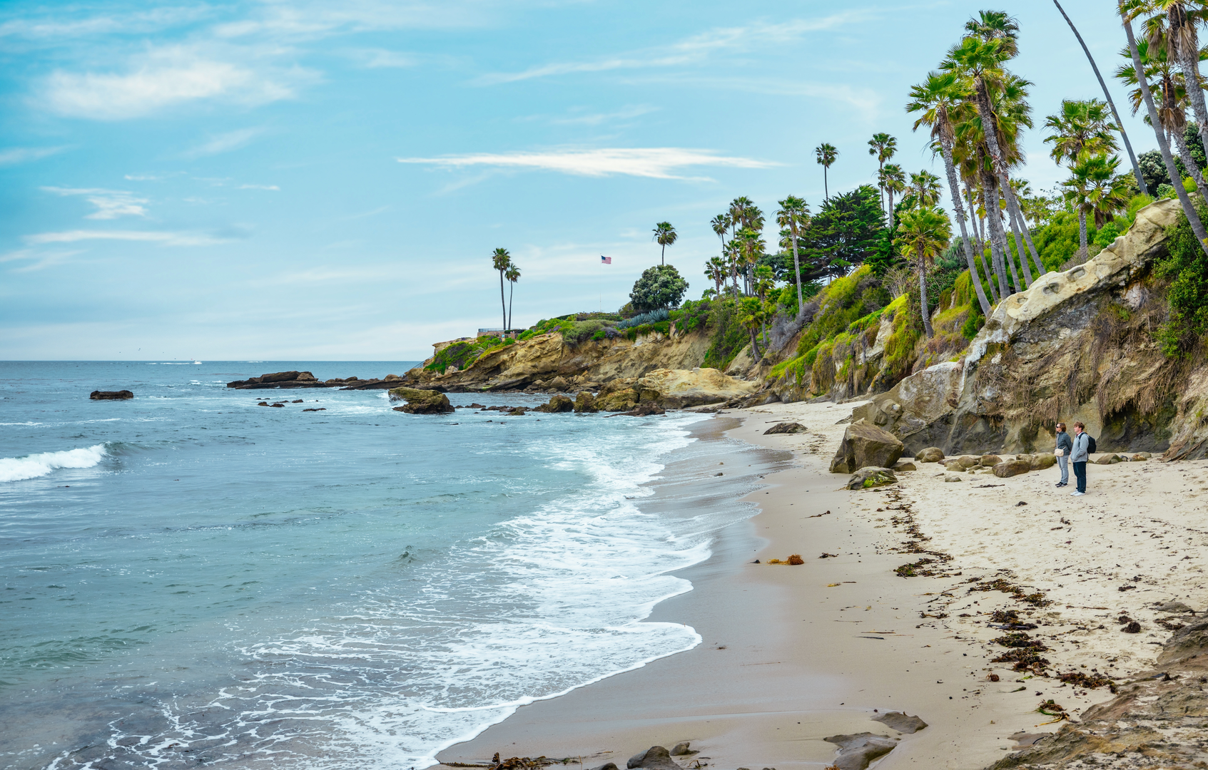 An image depicting the trail Treasure Island Park and its surrounding area.