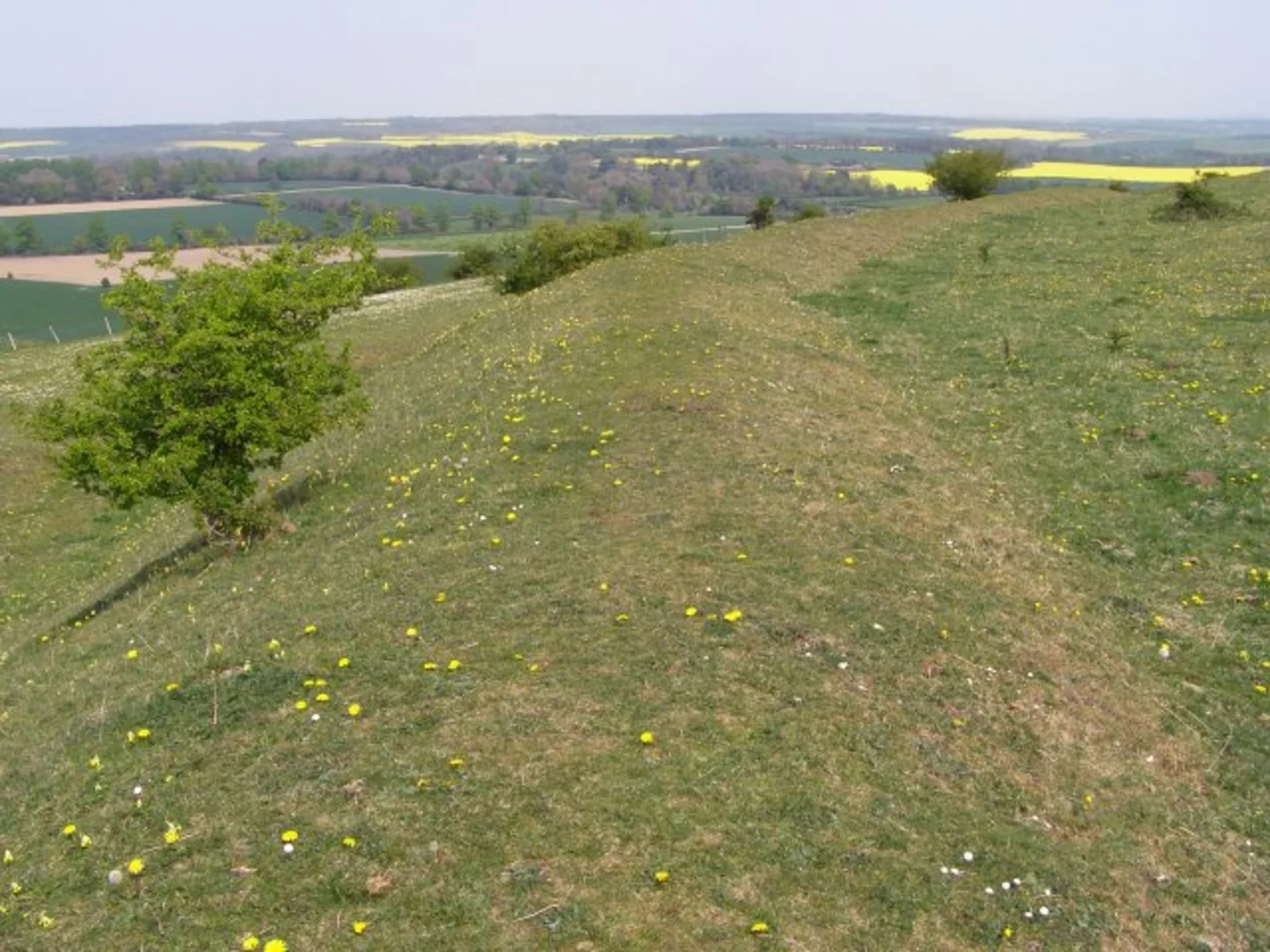 An image depicting the trail Chiselbury Hill Loop and its surrounding area.