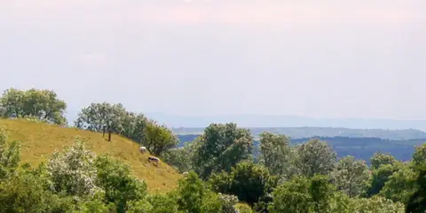 An image depicting the trail Ham Woods - Croscombe and Knowle Hill from Shepton Mallet and its surrounding area.
